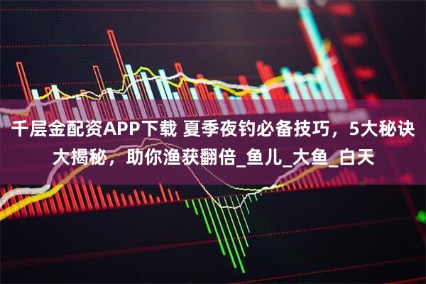 千层金配资APP下载 夏季夜钓必备技巧，5大秘诀大揭秘，助你渔获翻倍_鱼儿_大鱼_白天