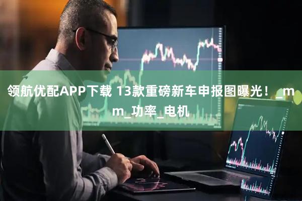 领航优配APP下载 13款重磅新车申报图曝光！_mm_功率_电机