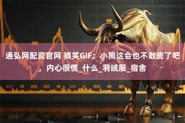 通弘网配资官网 搞笑GIF：小熊这会也不敢皮了吧，内心很慌_什么_羽绒服_宿舍