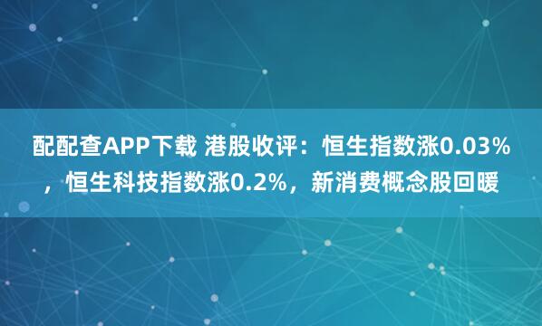 配配查APP下载 港股收评：恒生指数涨0.03%，恒生科技指数涨0.2%，新消费概念股回暖
