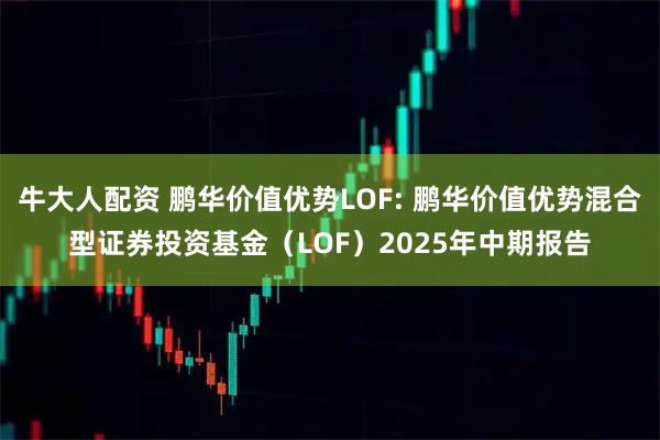 牛大人配资 鹏华价值优势LOF: 鹏华价值优势混合型证券投资基金（LOF）2025年中期报告