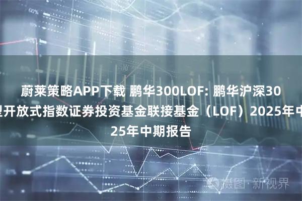 蔚莱策略APP下载 鹏华300LOF: 鹏华沪深300交易型开放式指数证券投资基金联接基金（LOF）2025年中期报告